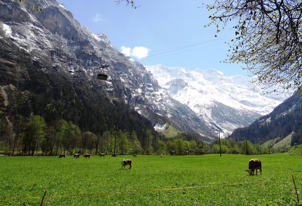 Base Cafe Apartman Lauterbrunnen Kültér fotó